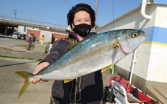 ヒラマサの釣果