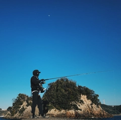 ネンブツダイの釣果