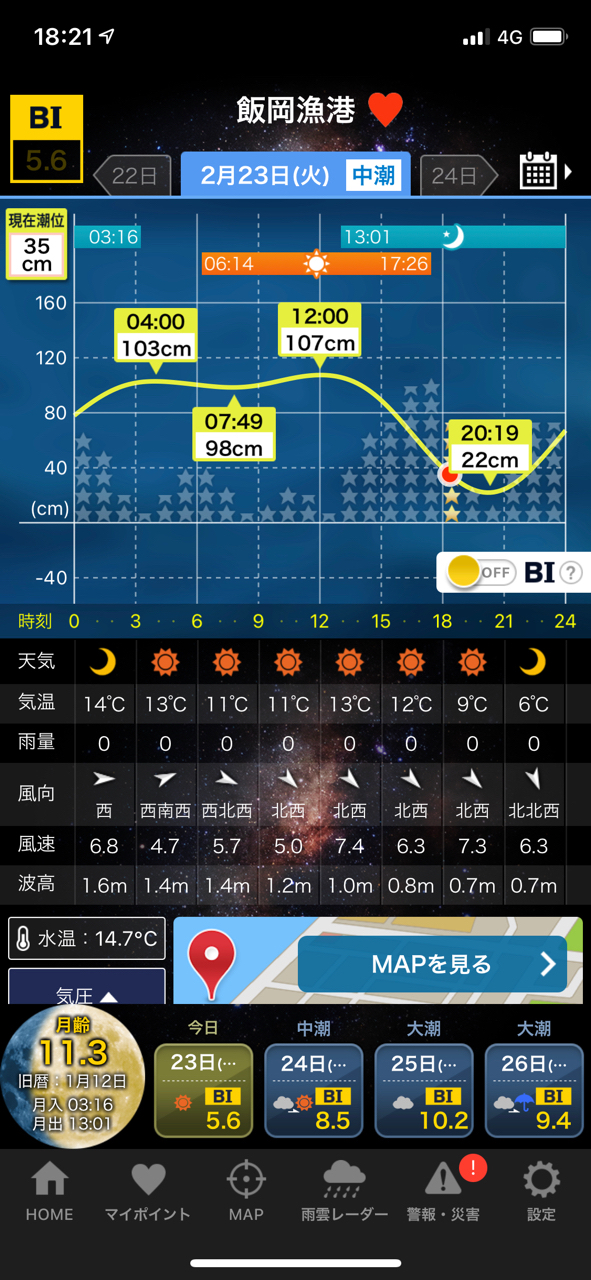 シロメバル