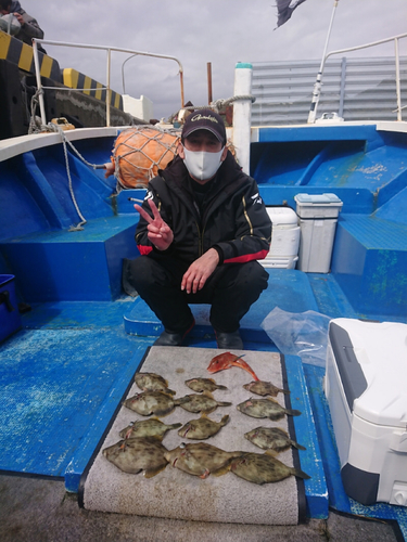 カワハギの釣果