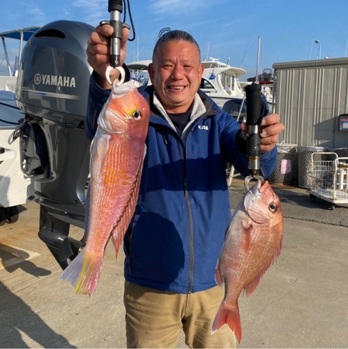 アマダイの釣果