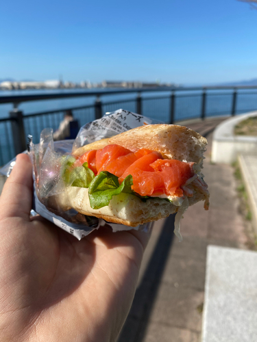 ムラソイの釣果