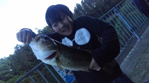 ブラックバスの釣果