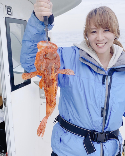 オニカサゴの釣果