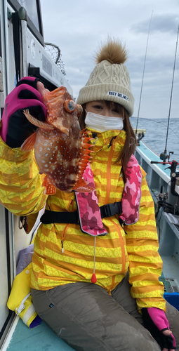 ウッカリカサゴの釣果