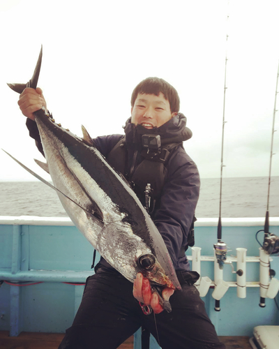 ビンチョウマグロの釣果