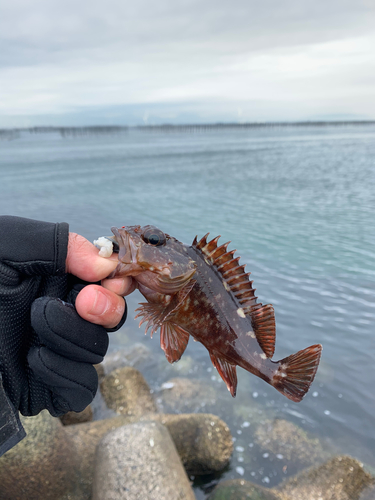 釣果