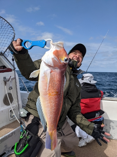 アマダイの釣果