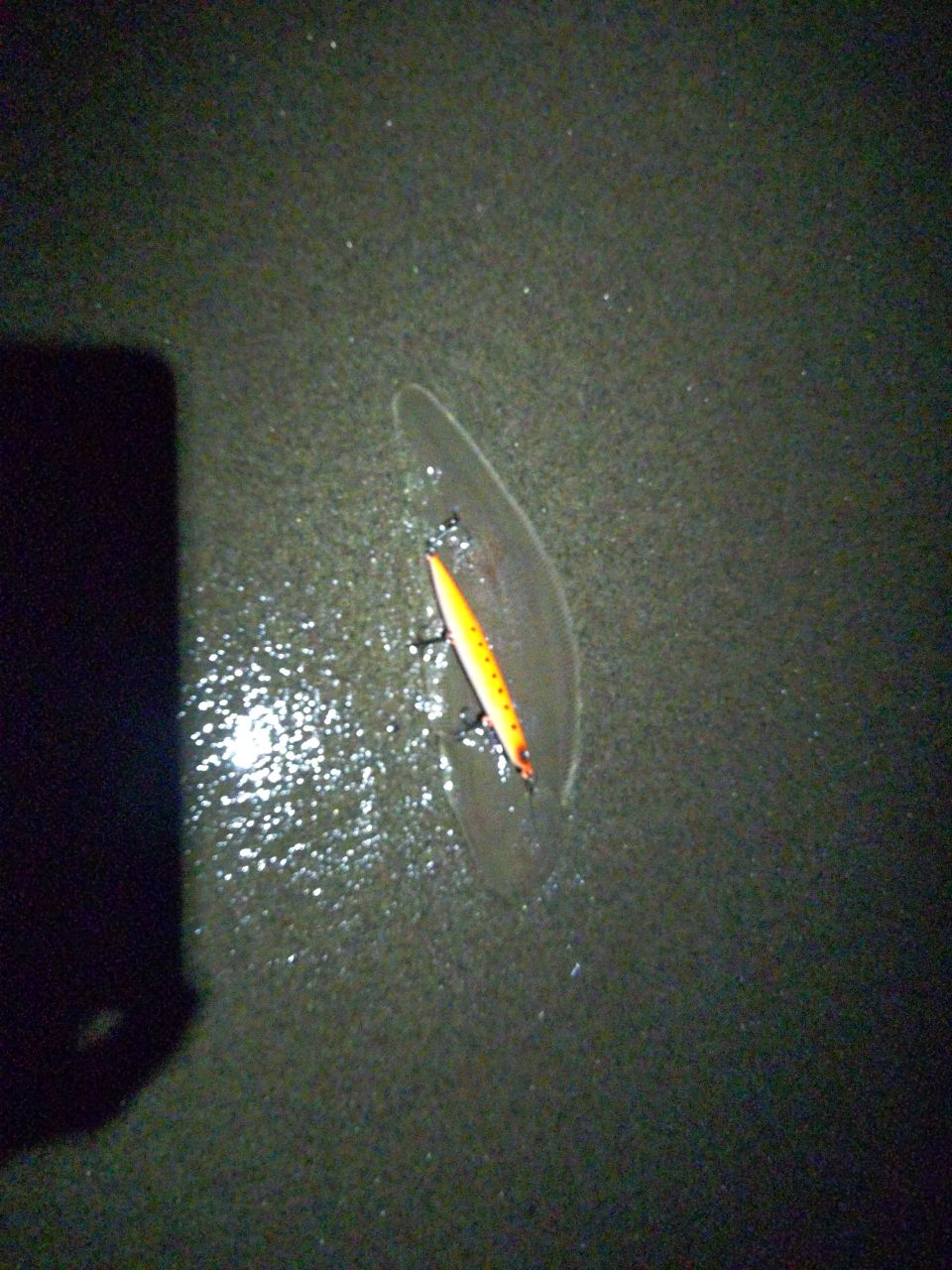 シタビラメ