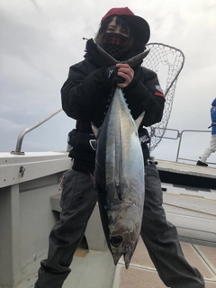 ビンチョウマグロの釣果