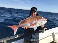 マダイの釣果