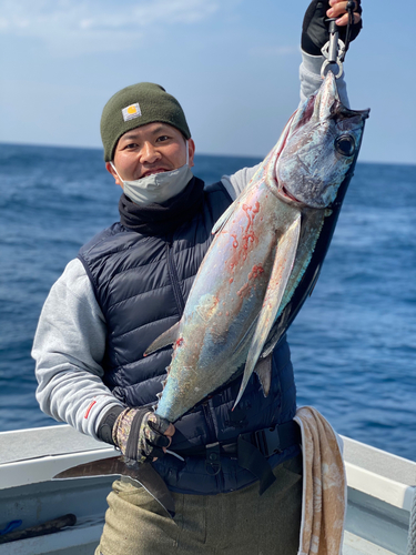 ビンチョウマグロの釣果