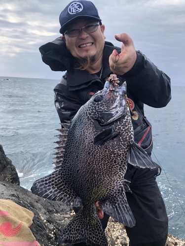 イシガキダイの釣果