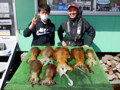 アオリイカの釣果