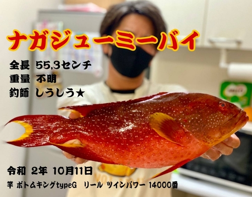 バラハタの釣果