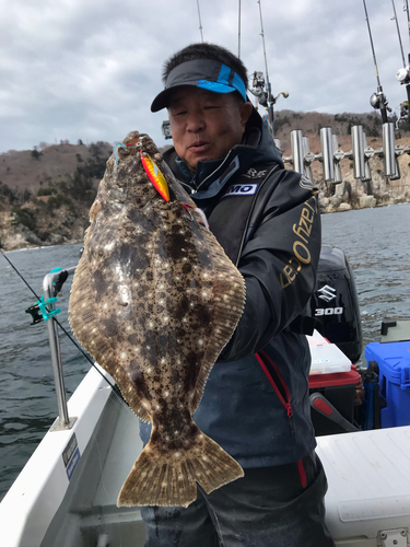 ヒラメの釣果