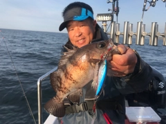 クロメバルの釣果