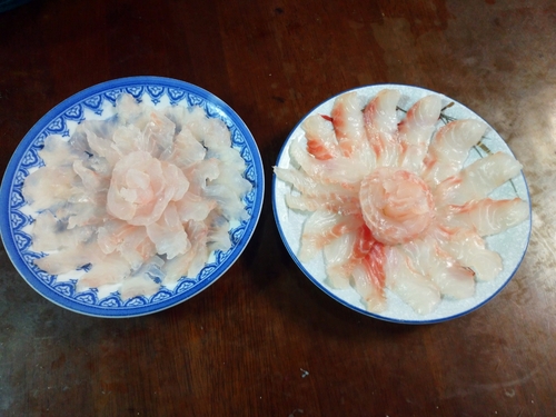 釣果