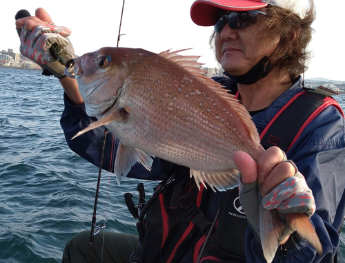 タイの釣果