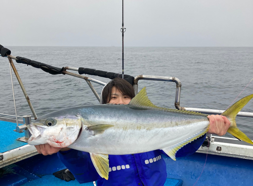 ヒラマサの釣果