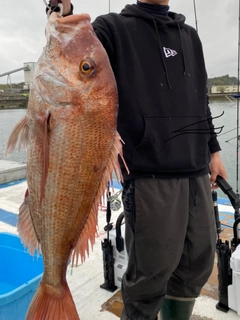 タイの釣果