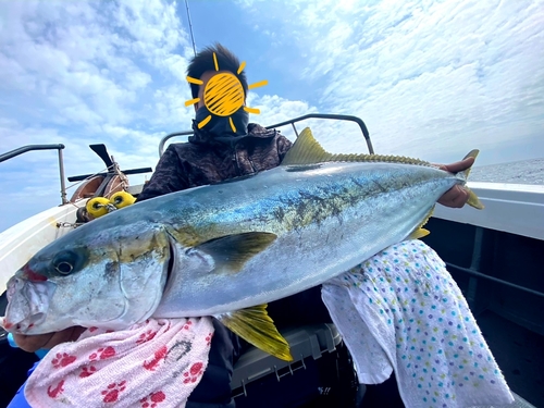 ヒラマサの釣果