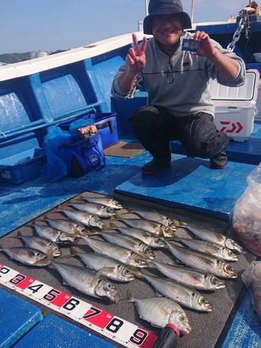 アジの釣果