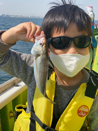 イシモチの釣果