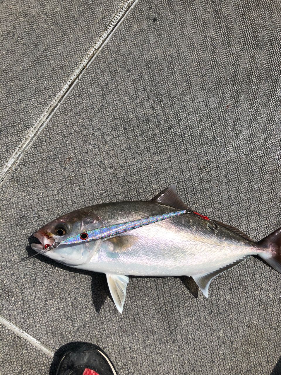 SHIMANO 16オシアジガー S510-4の最安値・インプレ・釣果 | 本音の