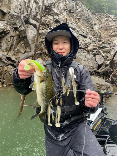 ブラックバスの釣果