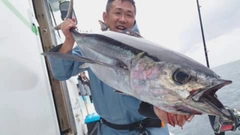 ビンチョウマグロの釣果