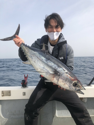 ビンチョウマグロの釣果