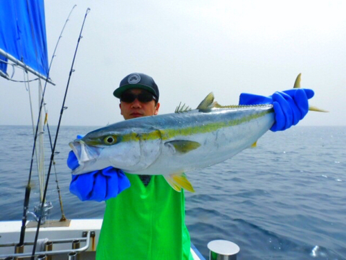 メジロの釣果