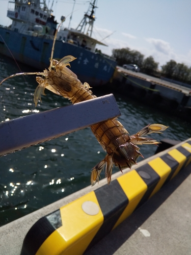 釣果