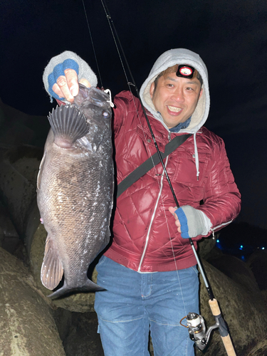 クロソイの釣果