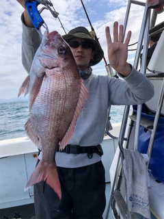 マダイの釣果