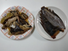 マガレイの釣果