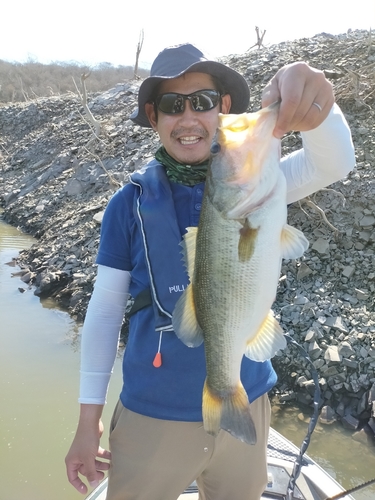 ラージマウスバスの釣果