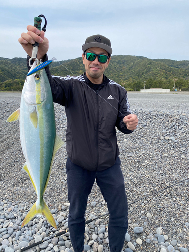 メジロの釣果