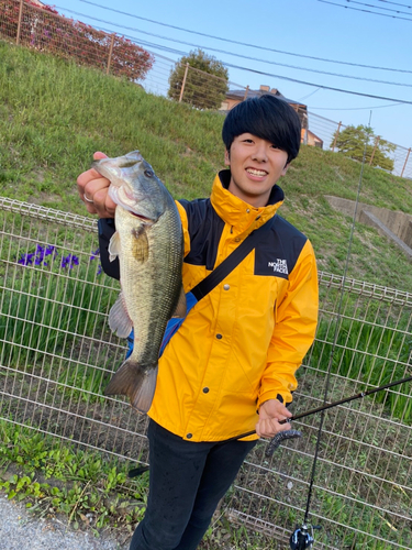 ブラックバスの釣果