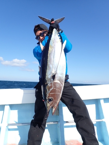 ビンチョウマグロの釣果