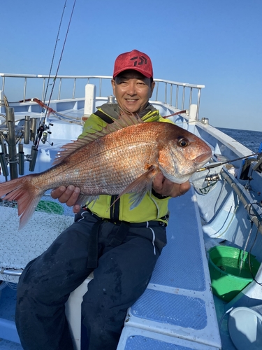 マダイの釣果