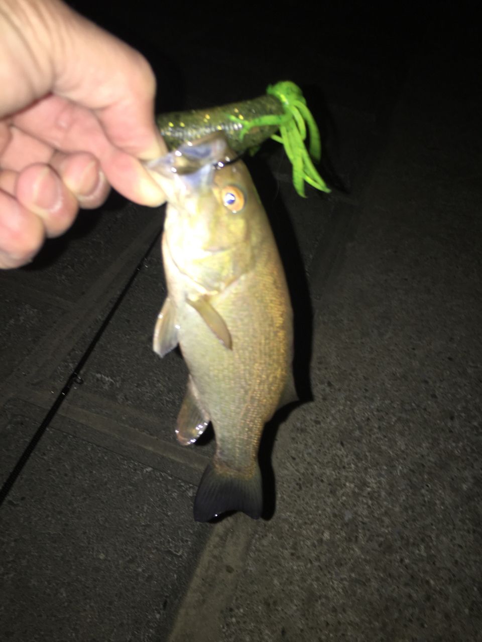 スモールマウスバス