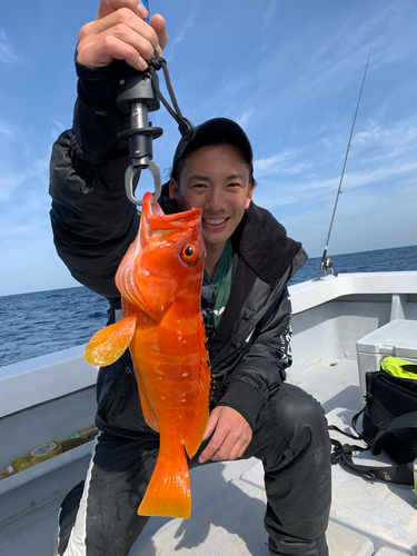 アカハタの釣果