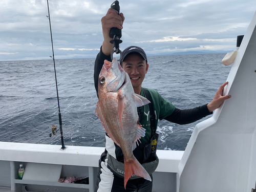 マダイの釣果