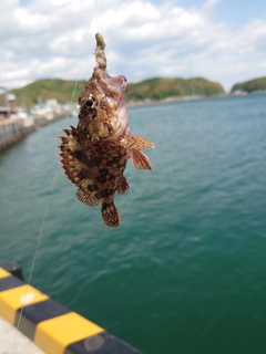 キスの釣果