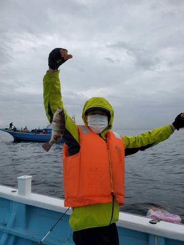 クロメバルの釣果