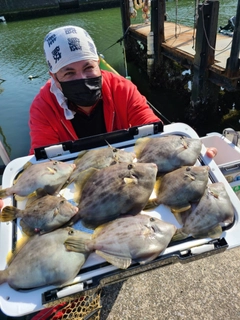 カワハギの釣果