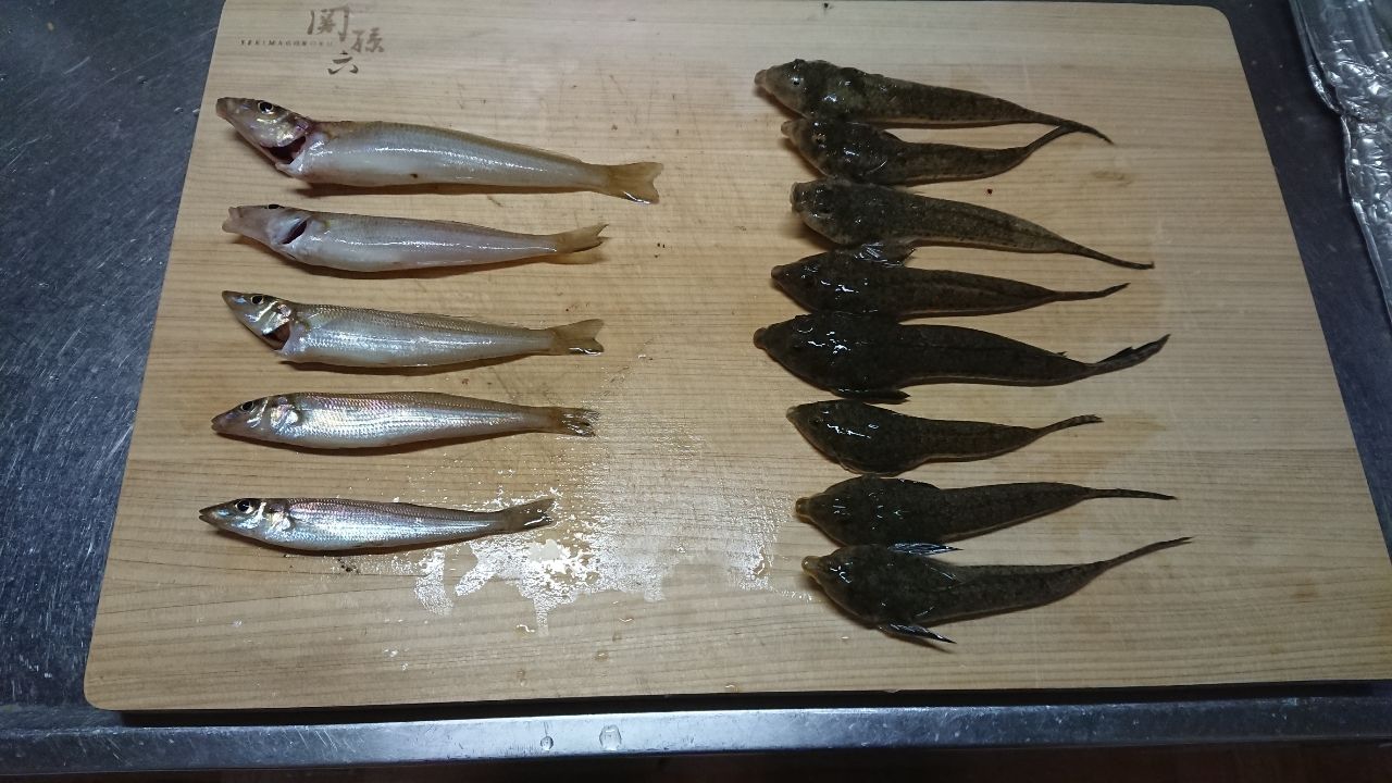 シロギス