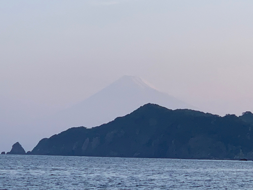 タイの釣果